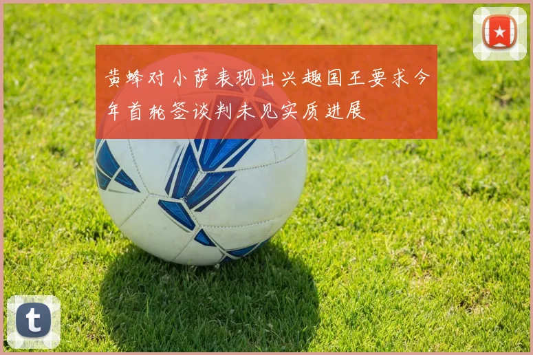 黄蜂对小萨表现出兴趣国王要求今年首轮签谈判未见实质进展