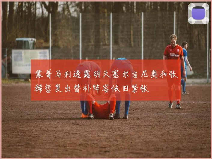 蒙哥马利透露明天塞尔吉尼奥和张稀哲复出替补阵容依旧紧张